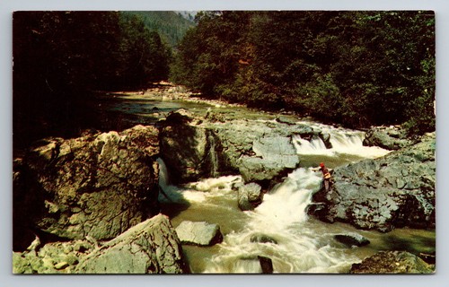 Deschutes river nature - or,,